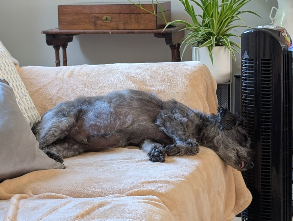 A very warm May