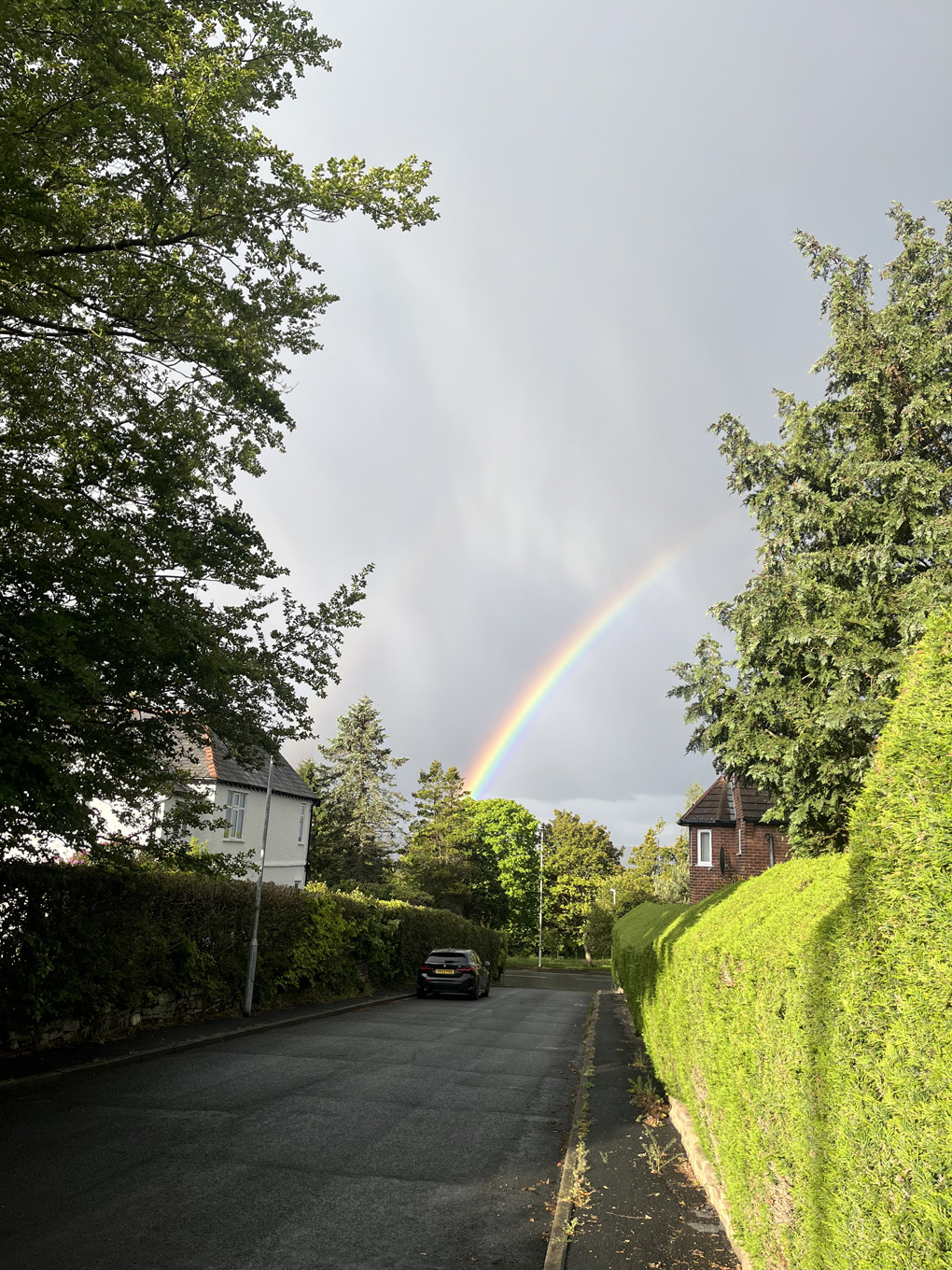 A rainbow over a hedge