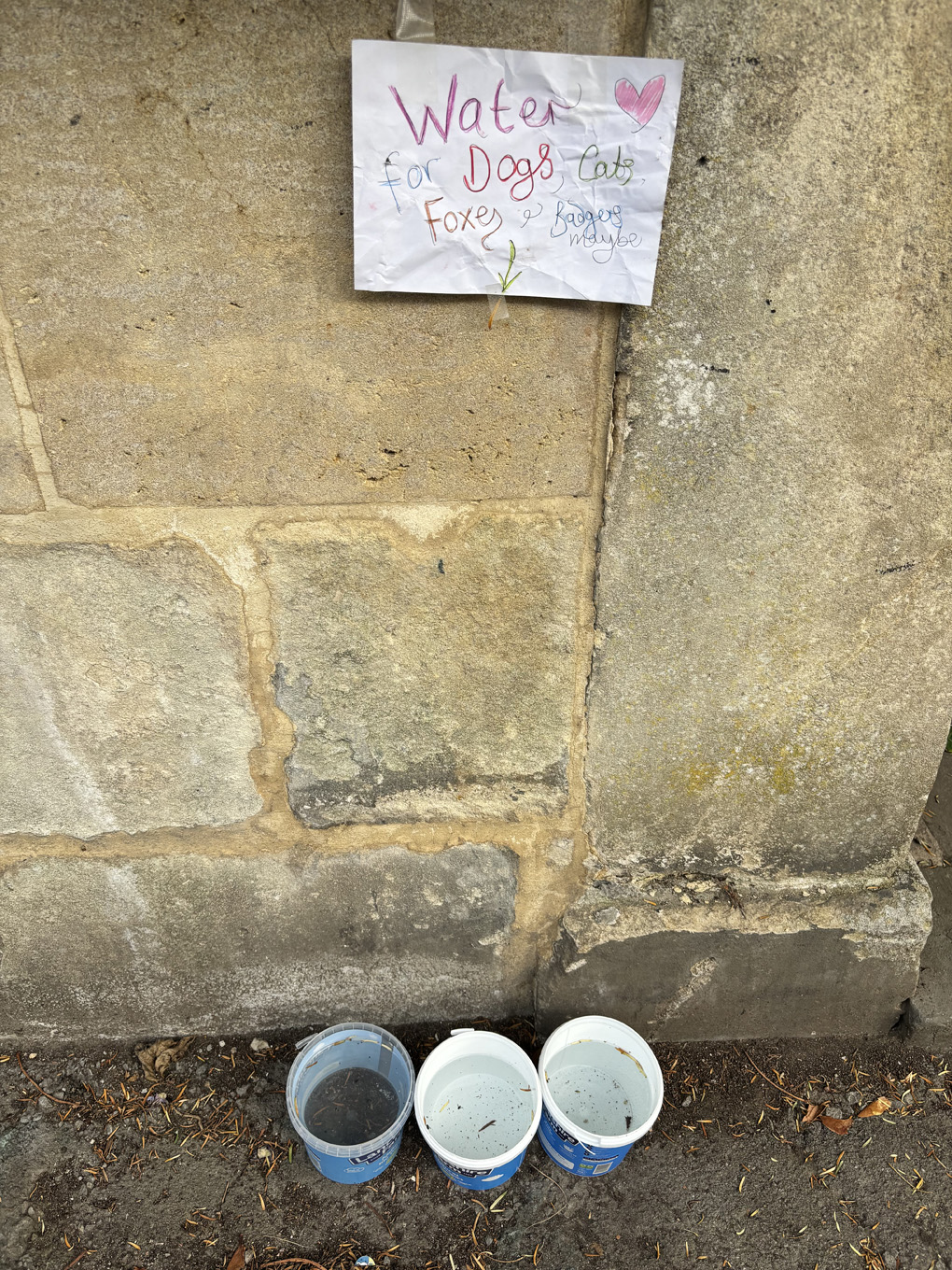 A colourful handwritten sign on a wall above three bowls of water. The sign reads ‘ Water for dogs, cats, foxes and badgers maybe’