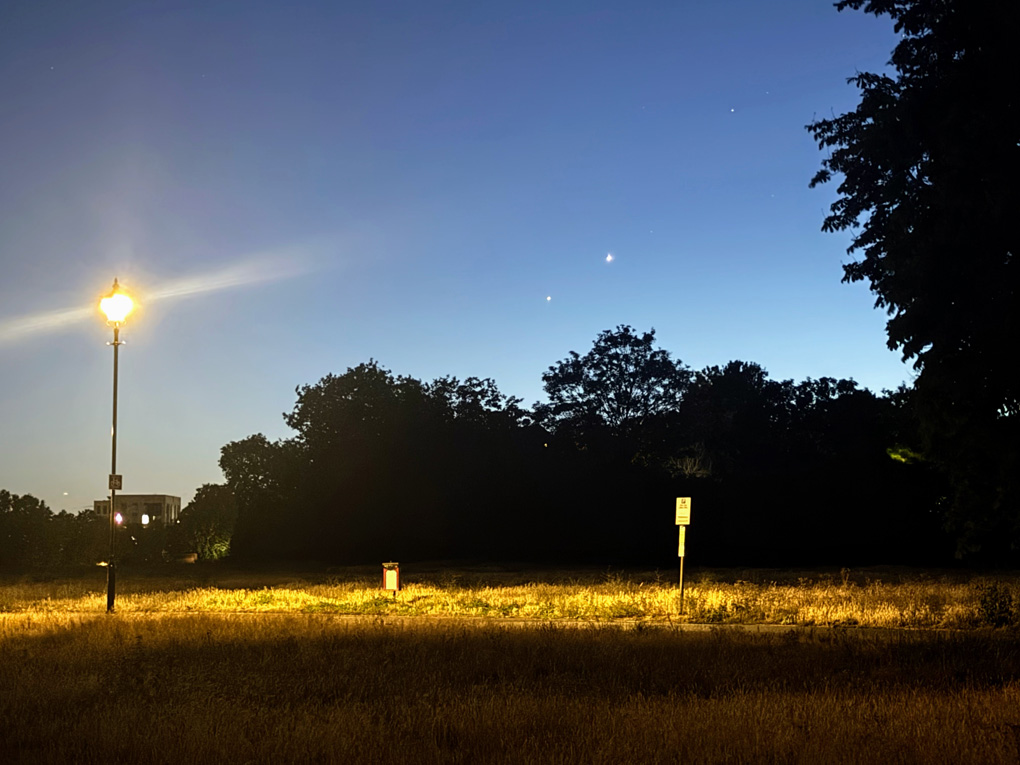 A twilight scene on Blackheath with the planets Venus and Jupiter above silhouetted trees. A Victorian style lamppost shines on the left of the picture
