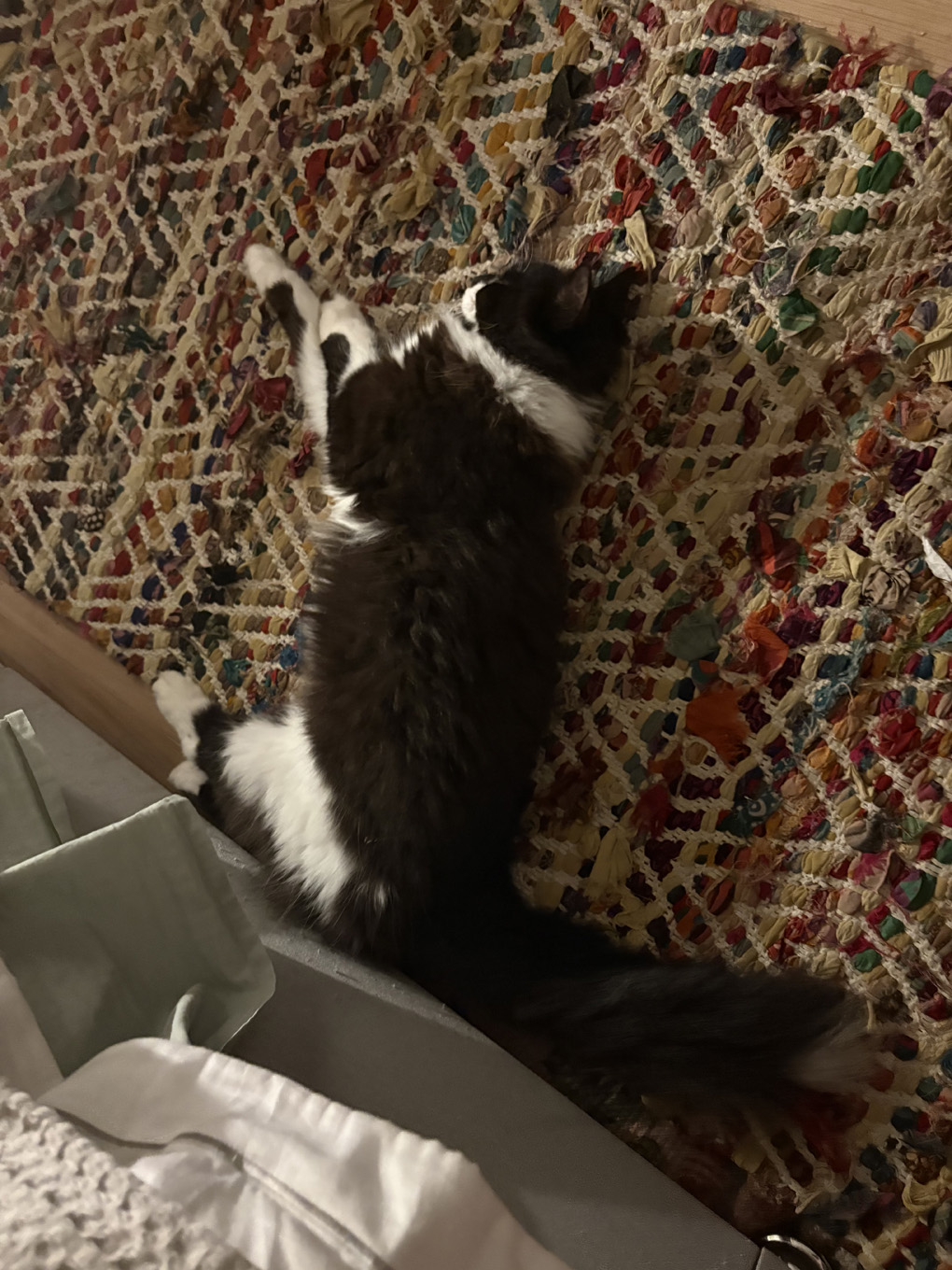 A black and white fluffy cat laying sideways away from the camera on a colourful rug.