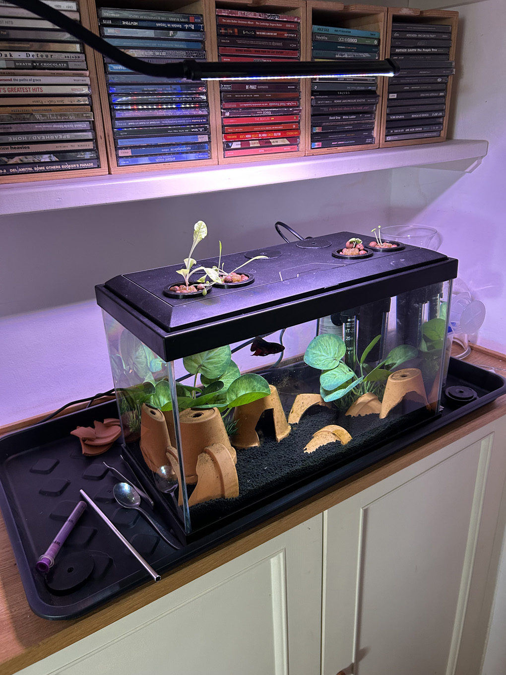 Fish tank with growing beds on top