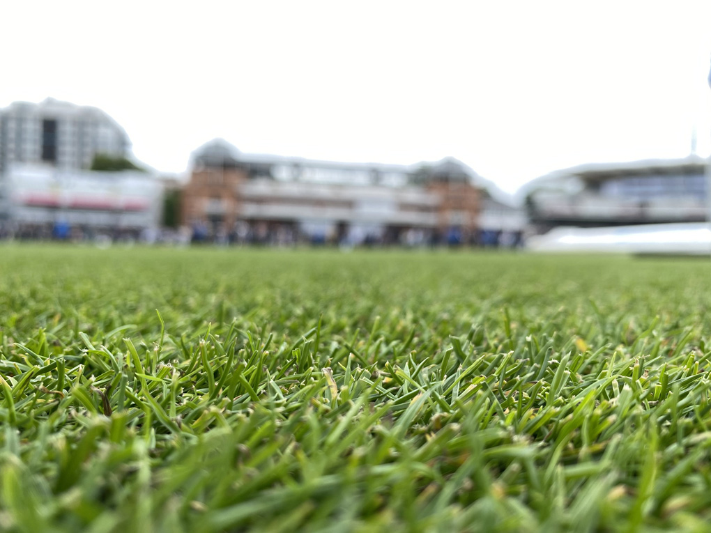In-focus grass in the very close foreground, with blurred buildings in the background.