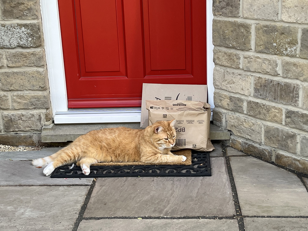 Special Delivery