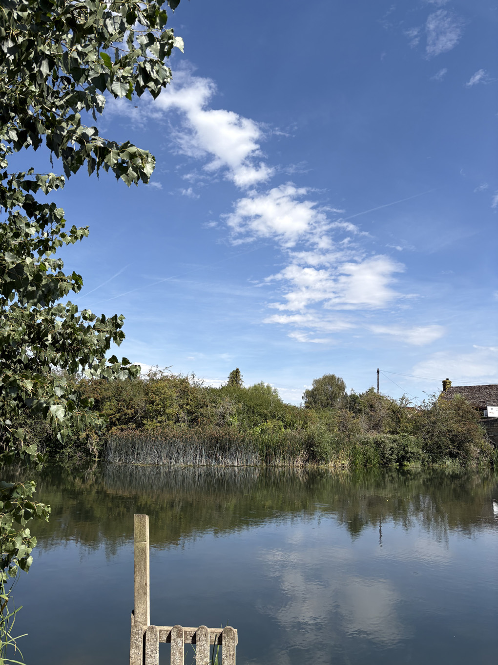 Beside the river
