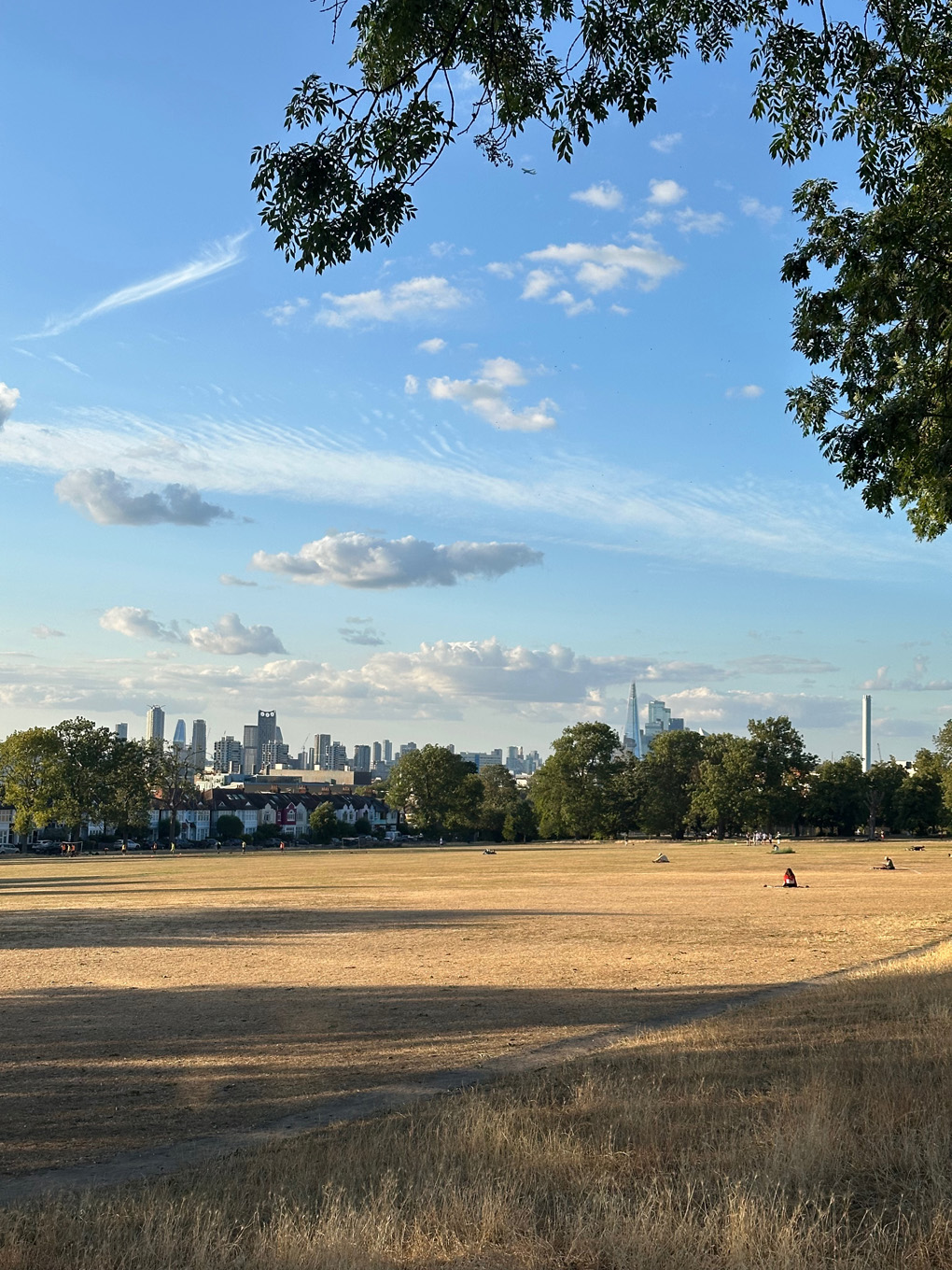 View over London from Ruskin Park with brown grass. Shard and other London buildings in distance.