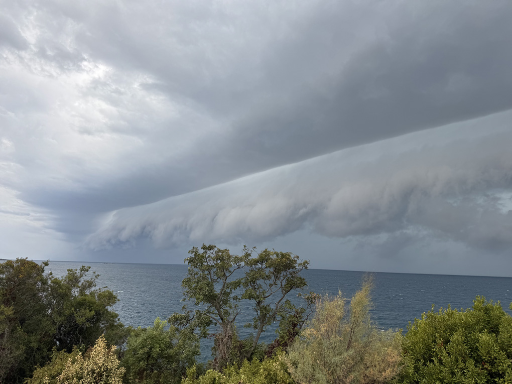 A long shelf cloud stretching across the whole horizon above a dark blue sea, its underside rolled and ribbed like a breaking wave. Green trees and scrub fill the bottom of the frame.