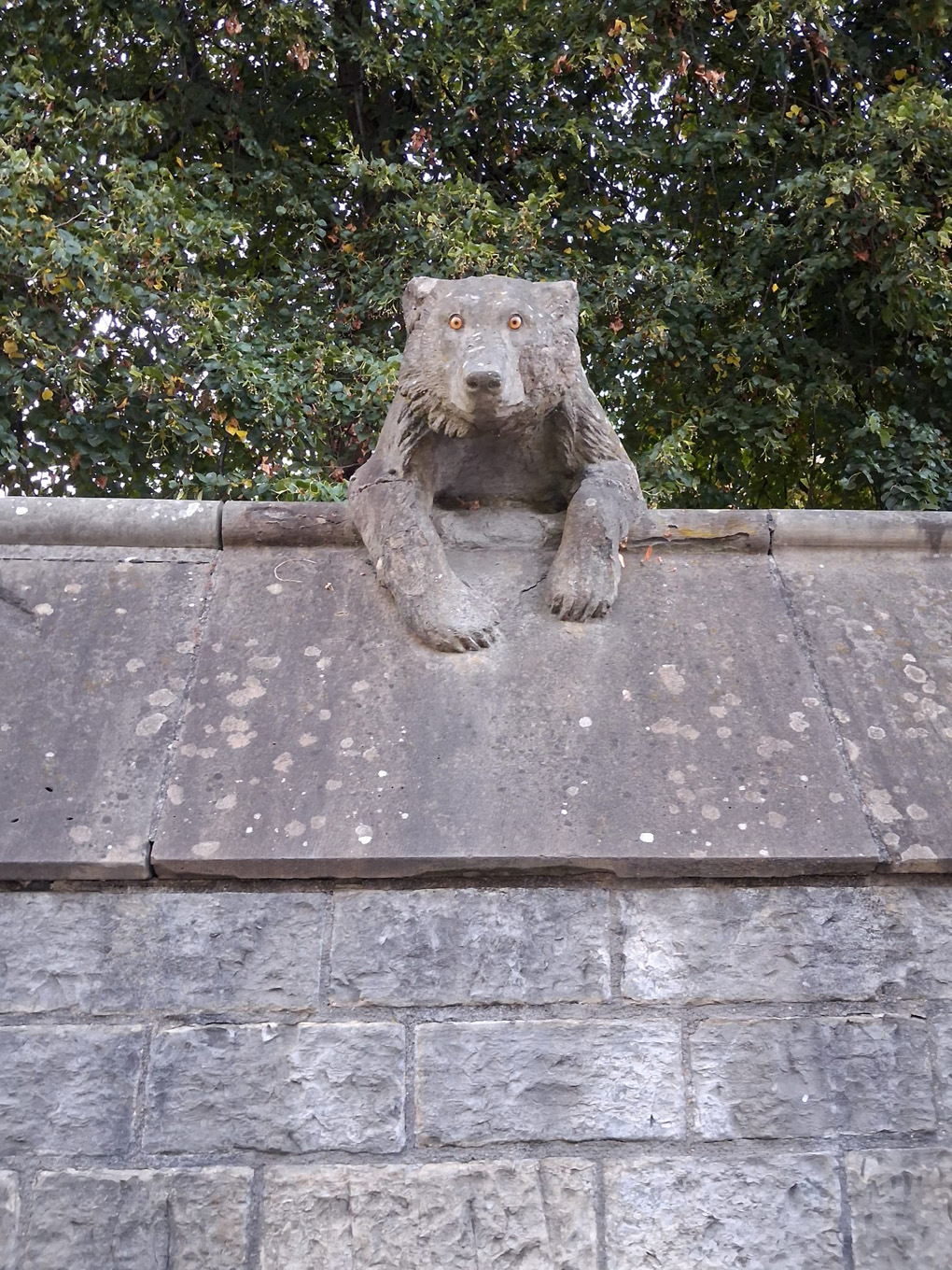 A sculpture of the top half of a bear, overlooking a high wall