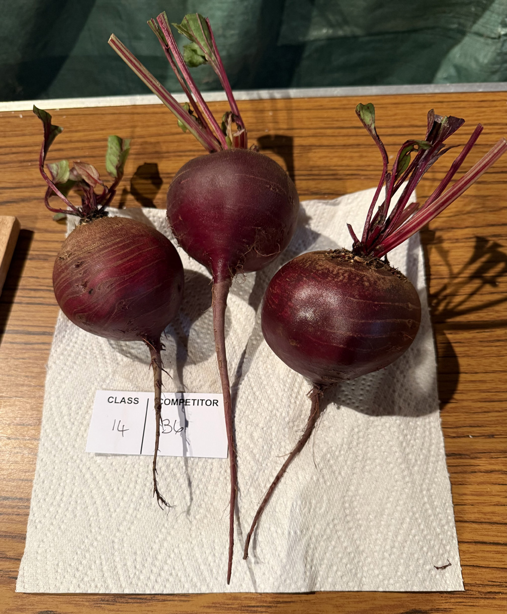 Three trimmed and presented beetroots