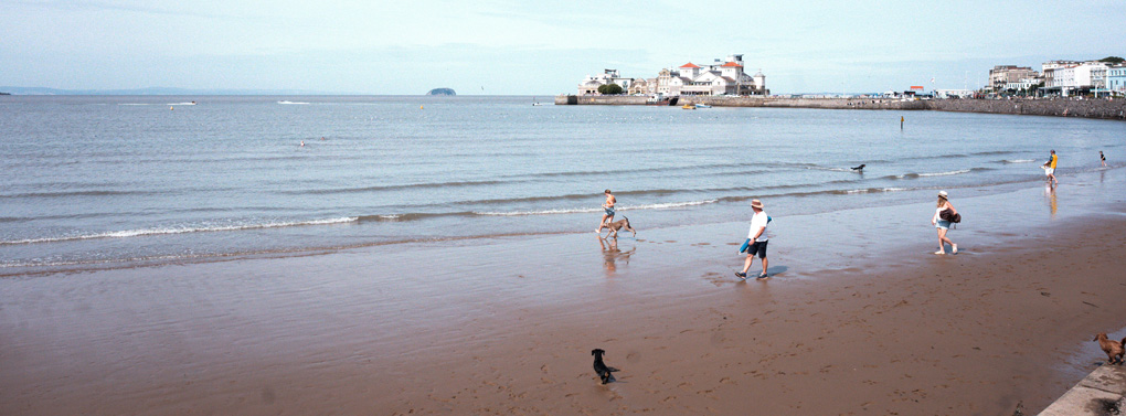A dog bound along the beach at Weston Super Mare playing with their human. Three other dogs all look on, tensed as if they will run to join in. A wide open blue sky, with the sea below, dominates the background. A small cluster of mediterranean style buildings are silhouetted on a promontory in the distance.