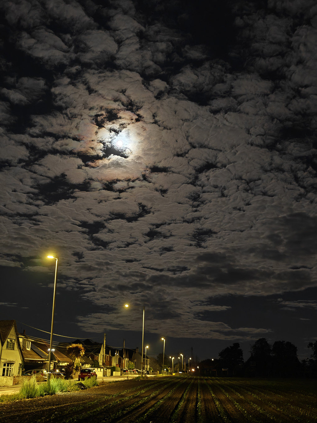 The moon creates a colourful halo through thin clouds, above a field of seedlings, with a road running to the left.