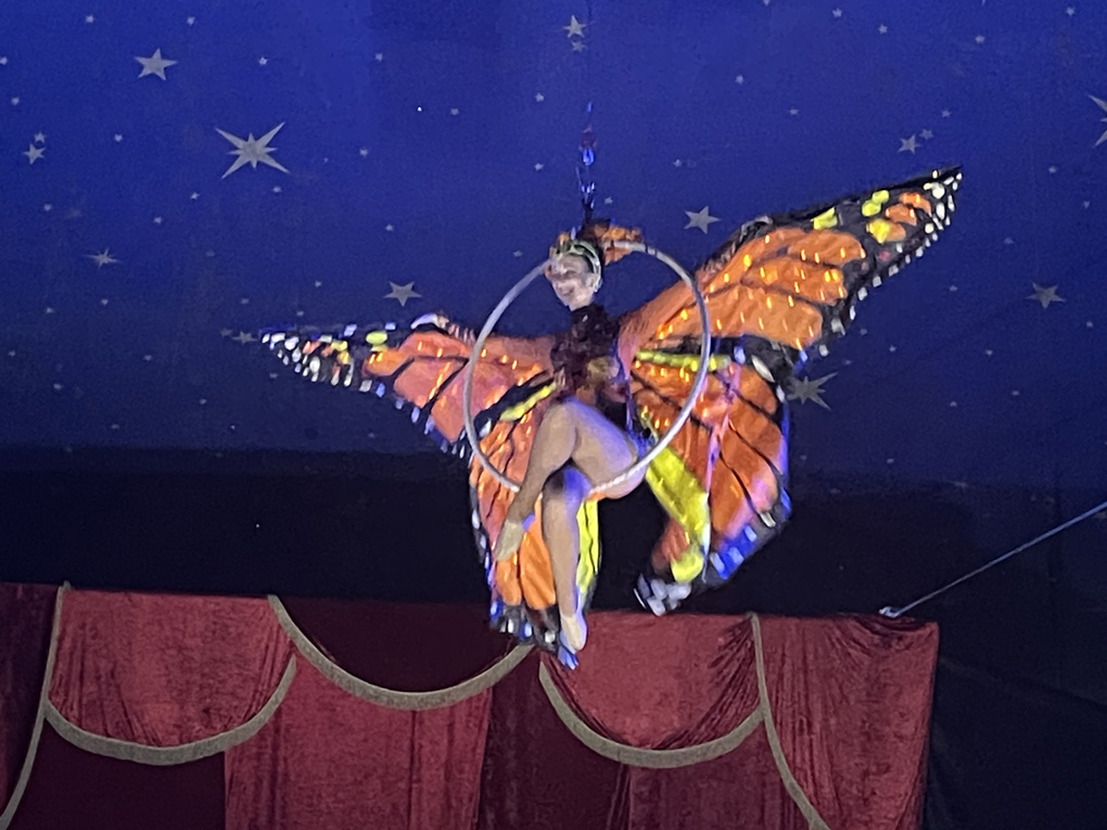 An aerial performer on a raised hoop dressed in orange & with her wings beautifully wide.