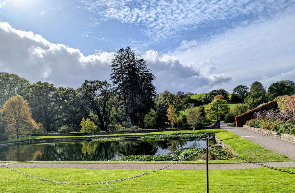 Photo of a Lilly Pond, on a calm, peaceful, Autumn Day