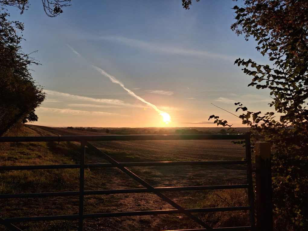 The setting sun, giving the fields in the fire ground orangey hues