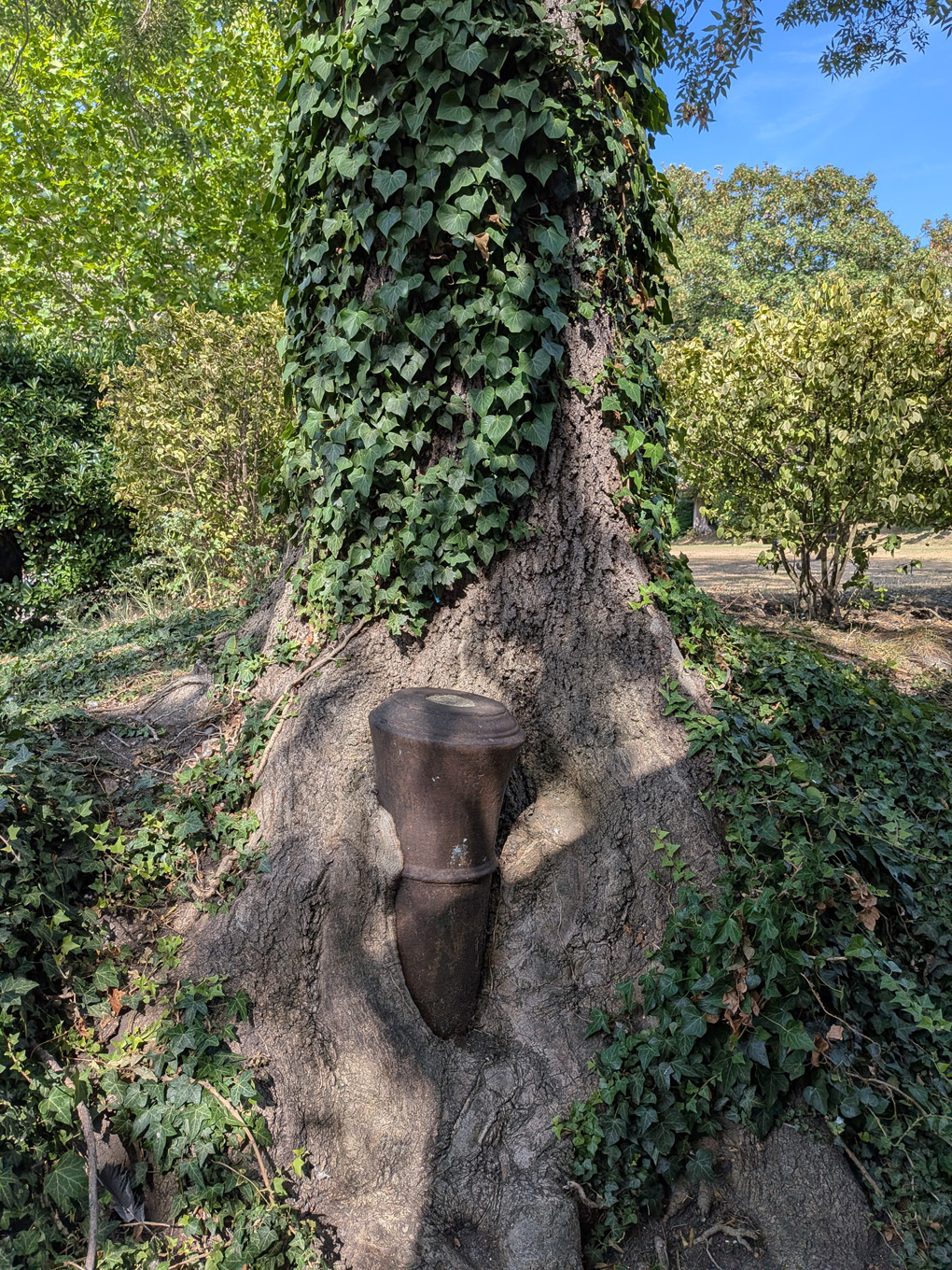 A cannon-eating tree