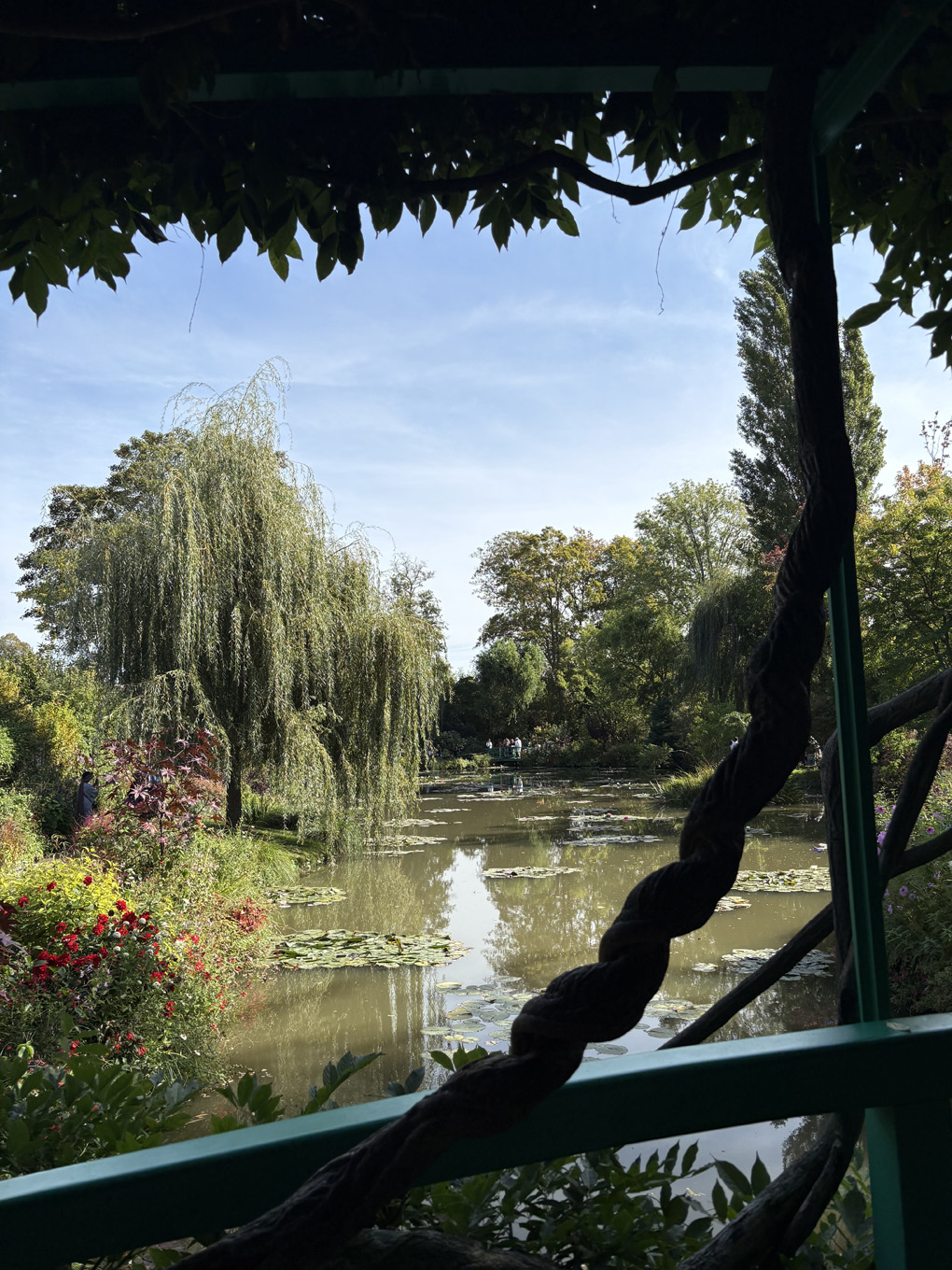 A photo taken from a covered bridge of a pond with water lilies, flowers, and trees. A trunk of wisteria cuts through the centre of the photo