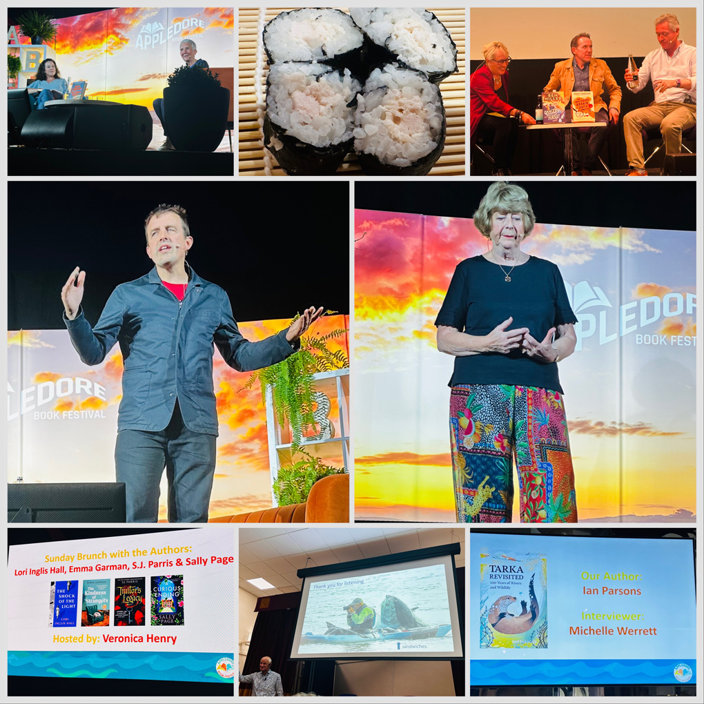 A collage of 6 of the 20 festival activities we attended