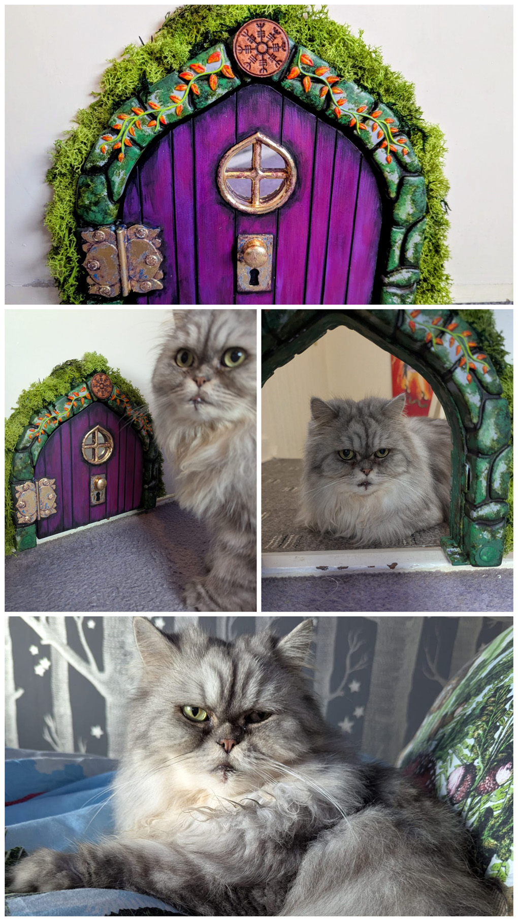 A beautiful door made for a special cat called ‘Brimstone ‘ after the butterfly . My daughter has ME and is often bed bound so wanted to make a door for Brim so that she wouldn’t have to get in and out of bed to let him come and go. She bought a fairy door, cut a cat size hole in her bedroom door with a Jig Saw, screwed the hinge to the door post and decorated the archways both sides of the door with a plastic stone-like edging, painted the stones gray then stuck some moss around it. It looks authentic and amazing. An ingenious solution, better than a boring cat flap! I wonder what Brim thinks of it?!