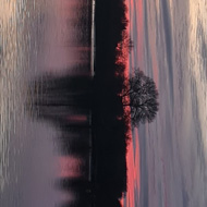 Lake 12 at South Cerney at dusk with yellow and pink sunset reflected in the water. The image is inverted 90 degrees, bringing attention to the light splitting down the centre of the photograph creating a more abstract void-like image.