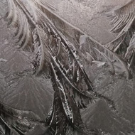 Tree branch shapes in ice across the car windscreen