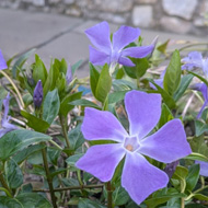 A collage of views in the Welsh countryside, near Cardiff