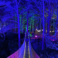 Two people walking away across a long rope bridge, with tree lit up with blue light in the background.