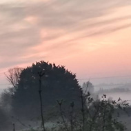 The sunrise peers through a misty morning