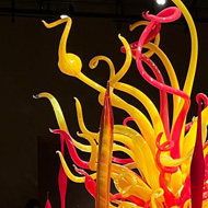 Colourful alien-looking plants made from glass.