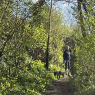 A footpath surrounded by trees not yet in leaf. A person and small dog just visible at end