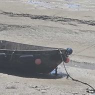 Four small boats of different types lie on the mud as the tide is out. In the foreground are purple flowers
