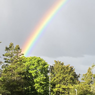 A rainbow over a hedge