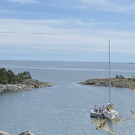 Sunny view of a bay from a hill.