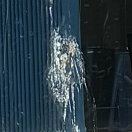 A business sign advertising window cleaning set above a window which has a big smeary blob of bird poo dribbling down the entire length of the window.