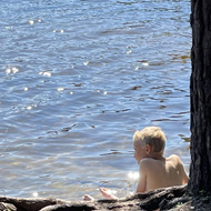 View of a sunny lake through trees.