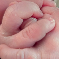 A close up of a tiny baby clasping their hands together.