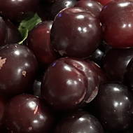 Bowl of cherry plums