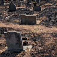 Scorched local graveyard from a heatwave fire.