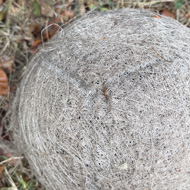 A round woven ball sitting on the grass beside a hedge