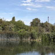 Beside the river