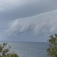 A long shelf cloud stretching across the whole horizon above a dark blue sea, its underside rolled and ribbed like a breaking wave. Green trees and scrub fill the bottom of the frame.