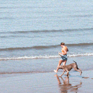 A dog bound along the beach at Weston Super Mare playing with their human. Three other dogs all look on, tensed as if they will run to join in. A wide open blue sky, with the sea below, dominates the background. A small cluster of mediterranean style buildings are silhouetted on a promontory in the distance.