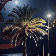 Moon reflecting on the sea
