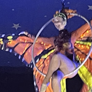An aerial performer on a raised hoop dressed in orange & with her wings beautifully wide.